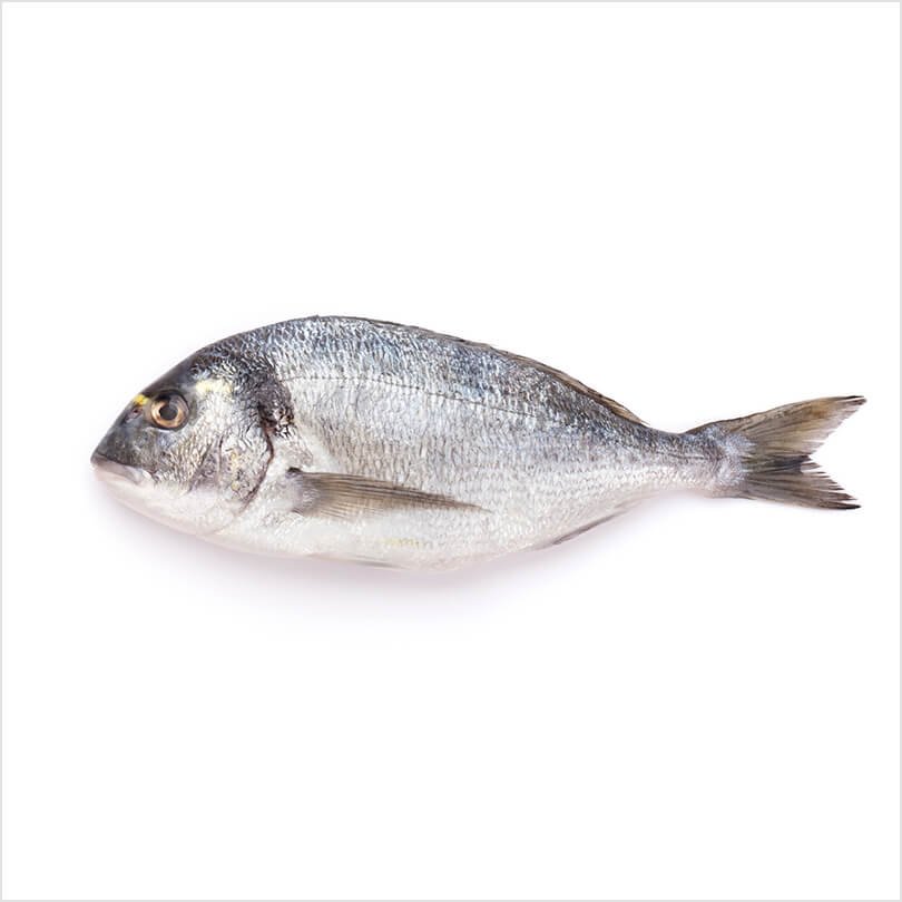 Fresh fish